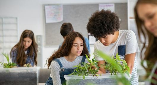 Evento previo a COP16 en Cali: Congreso Internacional de Educación Ambiental