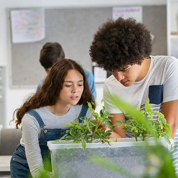 Evento previo a COP16 en Cali: Congreso Internacional de Educación Ambiental