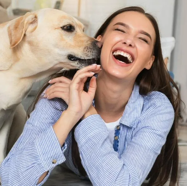 Por qué no dejar que los perros le laman la cara: detalles