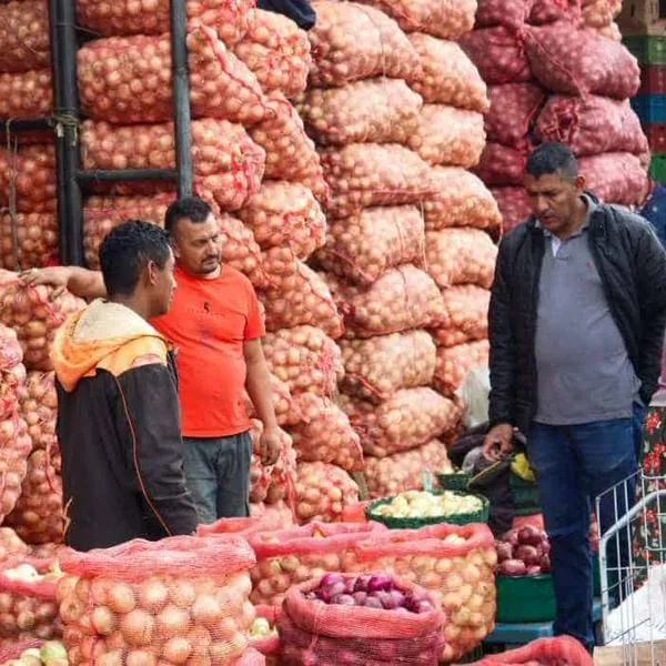 Cuántas horas se debe trabajar al día con nueva reforma laboral del Gobierno