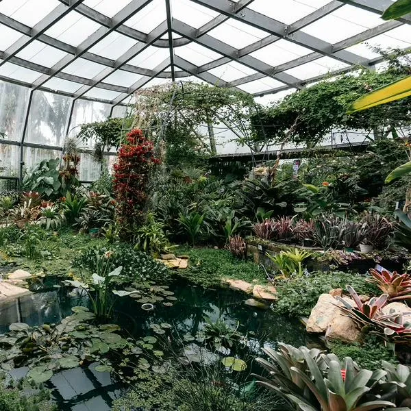 Invernadero más grande de Sudamérica, que está en Bogotá