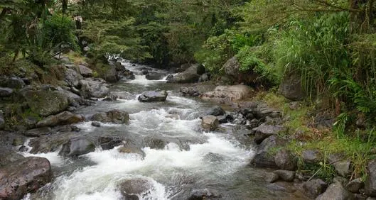 Bucaramanga hoy: hallan cuerpo flotando en medio de un río y con varios golpes