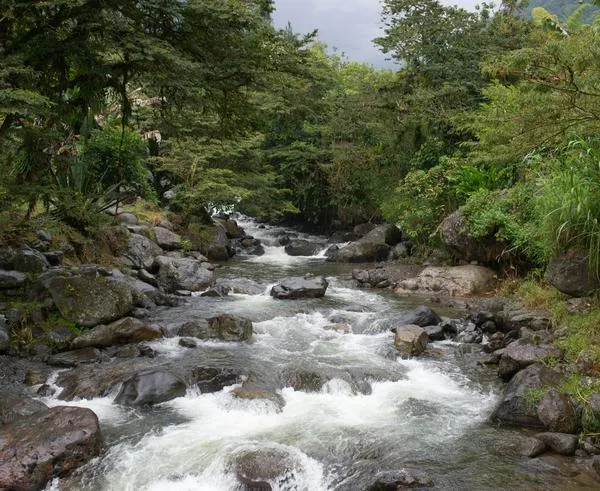 Bucaramanga hoy: hallan cuerpo flotando en medio de un río y con varios golpes