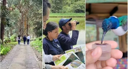 Avistamiento de aves, senderismo y turismo rural: planes ecoturísticos en el Valle del Cauca durante la COP16