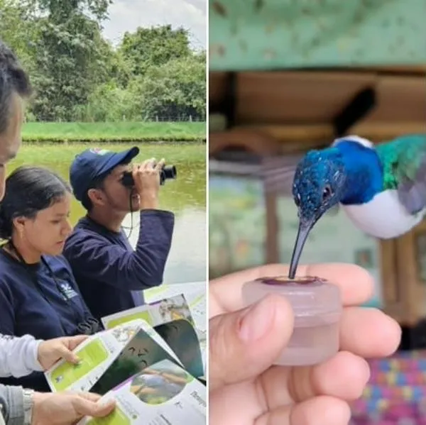 Avistamiento de aves, senderismo y turismo rural: planes ecoturísticos en el Valle del Cauca durante la COP16