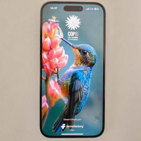 MinTIC lanzó 'app' para la COP16: así se puede descargar en iOS y Android 