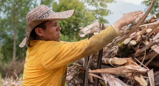 Reforma laboral tumban artículos que beneficiaban a campesinos de Colombia