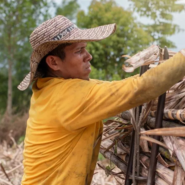 Reforma laboral tumban artículos que beneficiaban a campesinos de Colombia