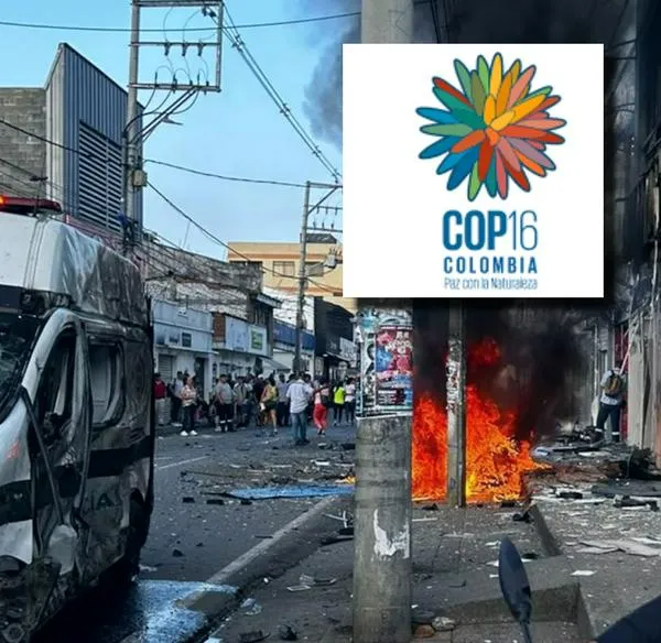 COP16: Gobernadora Del Valle Pide Más Pie De Fuerza Por Atentado En Jamundí