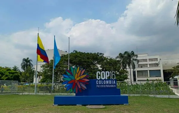 ¿Qué se realizará en la Zona Azul y Verde de la COP16? Aquí le explicamos