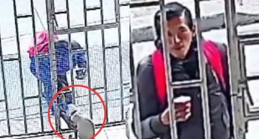 Video: hombre se robó gata en Bogotá y método que usó indignó a varias personas