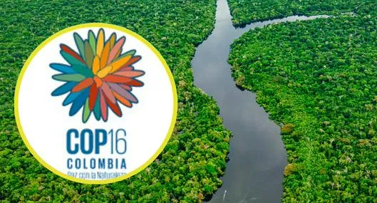 ¿Qué quiere decir la COP16? 