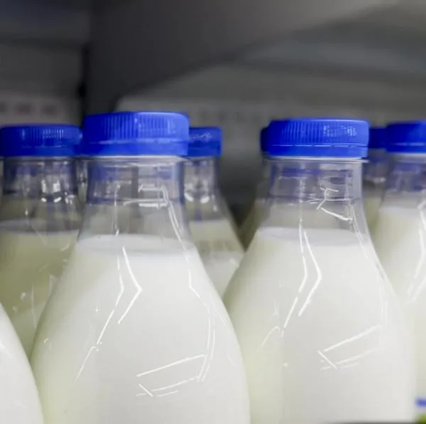 Invima ordenó cierre temporal de 13 empresas procesadoras de leche; por qué