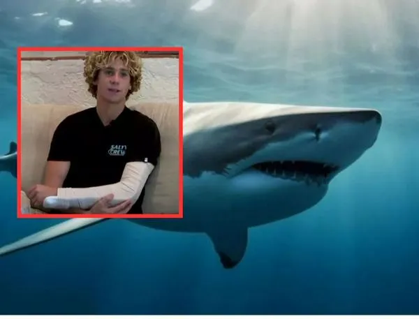 Joven fue atacado por tiburón toro cuando surfeaba en Estados Unidos