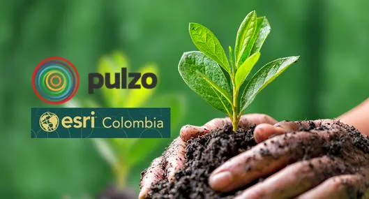 Pulzo y Esri Colombia: alianza para buscar acciones a favor del medioambiente