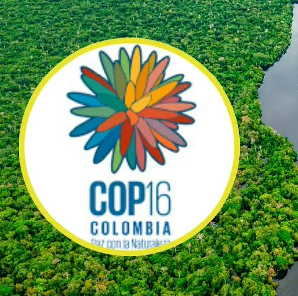 Colombia abre la COP16 presentando plan de acción para proteger la biodiversidad