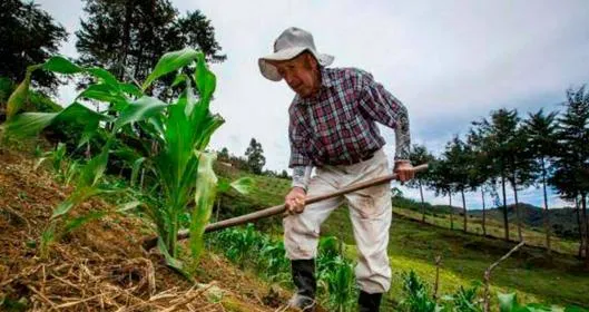 Ley de jurisdicción agraria: Gobierno Nacional manda mensaje para radicar norma