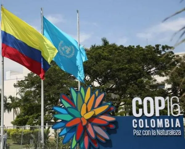 COP 16 hoy: cómo luce Colombia en diversidad de flora y fauna entre otros países