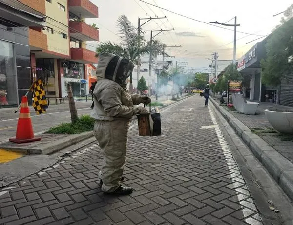 Ataque de abejas en Neiva dejó seis personas lesionadas en plena vía pública