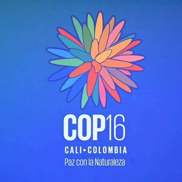 Picture of the logo of the upcoming COP16 at the Pacific Event Center where the conference will be held, in Yumbo, just north of Cali, Valle del Cauca Department, Colombia, taken on October 17, 2024. - The 2024 United Nations Biodiversity Conference of the Parties to the UN Convention on Biological Diversity (COP16) will be held in Cali, Colombia, from October 21 to November 1, 2024. (Photo by Joaquin Sarmiento / AFP)