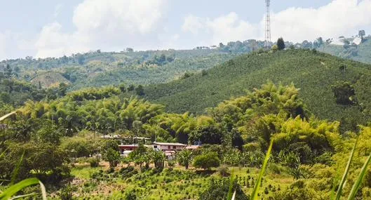 Qué hacer en el Eje Cafetero en 3 días