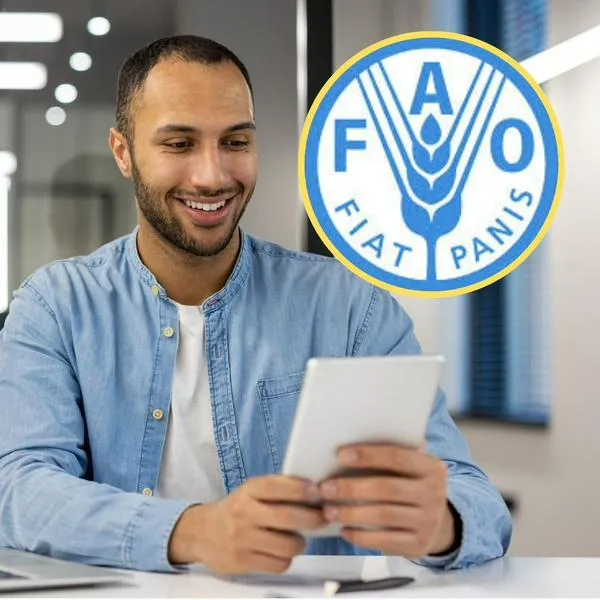 :¿Cómo postularse a la FAO? Vacantes con agencias ONU, así puede postularse 