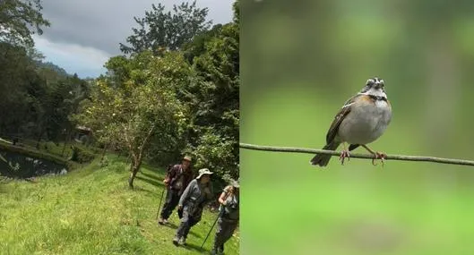 Parque Natural Los Tunos en San Antonio del Tequendama