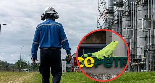 ¿Quién secuestró a cuatro contratistas del Ecopetrol en el Catatumbo 