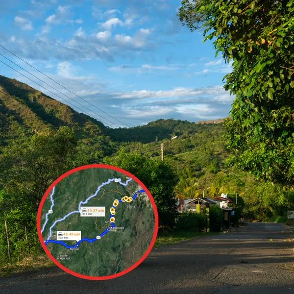 ¿Cuál es el municipio más grande de Tolima? 
