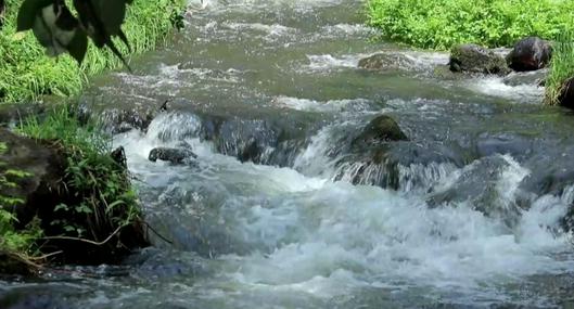 CAR y ONU firmaron alianza en la COP16 para garantizar agua en Cundinamarca