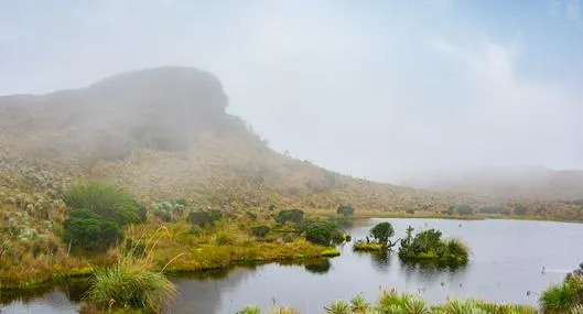 Páramo de Sumapaz, en nota sobre que es el más grande del mundo 