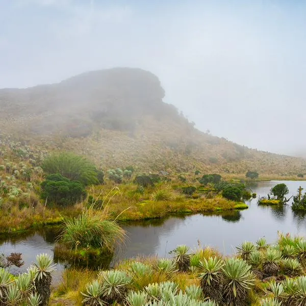 Páramo de Sumapaz, en nota sobre que es el más grande del mundo 