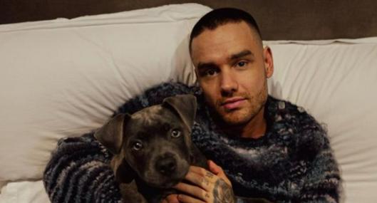 Cuenta de TikTok de Liam Payne se convierte a 'En memoria' en su homenaje