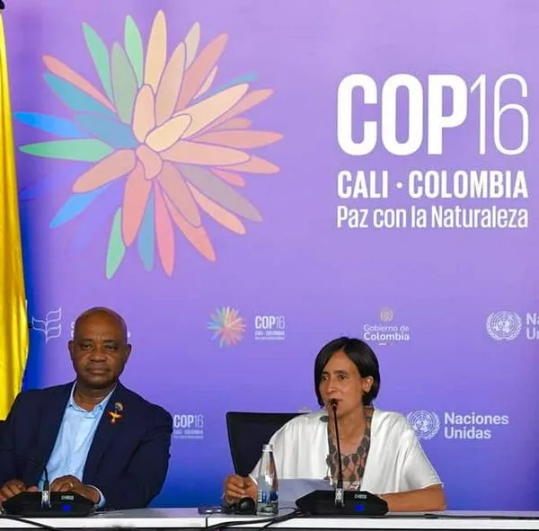 COP16 Cali Coalición Paz con la Naturaleza iniciativa hacía el cuidado ambiental