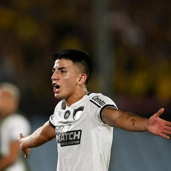 Final de Copa Libertadores será Brasileña con la clasificación de Botafogo