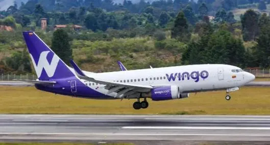 Wingo revela planes para 2025; evalúa programa de fidelización para viajeros