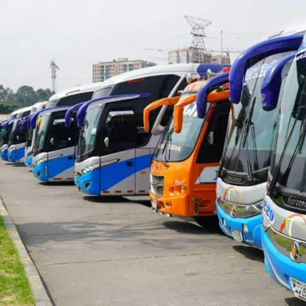 La Terminal de Transportes de Bogotá entregó un anuncio a sus miles de viajeros por este puente festivo de los Santos; ¿se complicó salida?