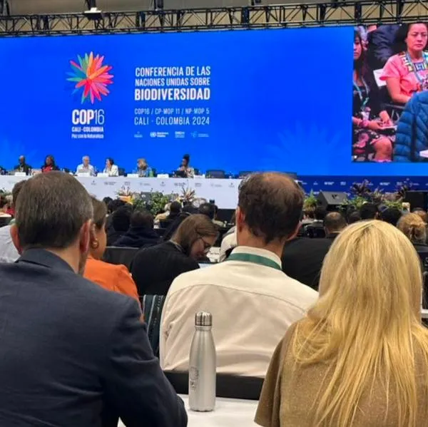 Qué ganancias para Cali dejó la COP16 y cuántas personas asistieron