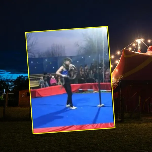Trabajador de circo fue asfixiado por serpiente y habría muerto; video impacta