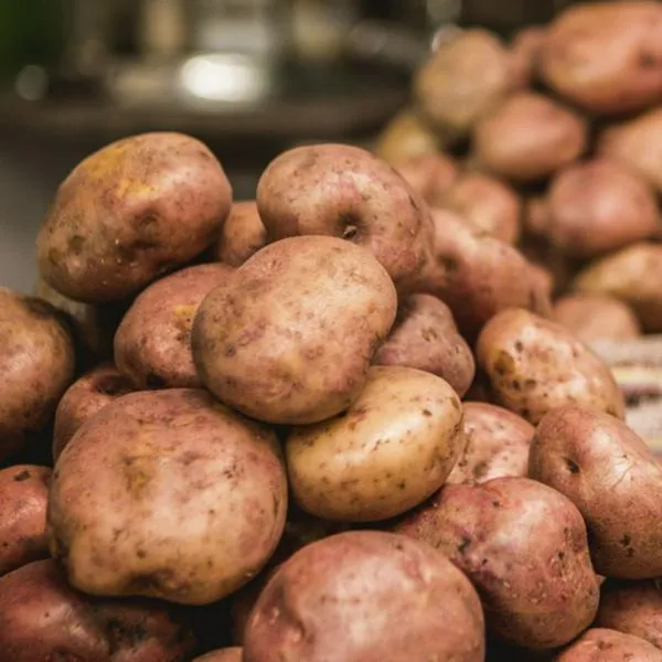 ¿Cuánto cuesta el kilo de papas hoy? Corabastos anuncia precios, días y más