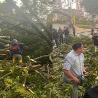 Emergencia en Medellín por tormenta eléctrica que provocó desplome de varios árboles en vía Las Palmas, una de las más importantes.