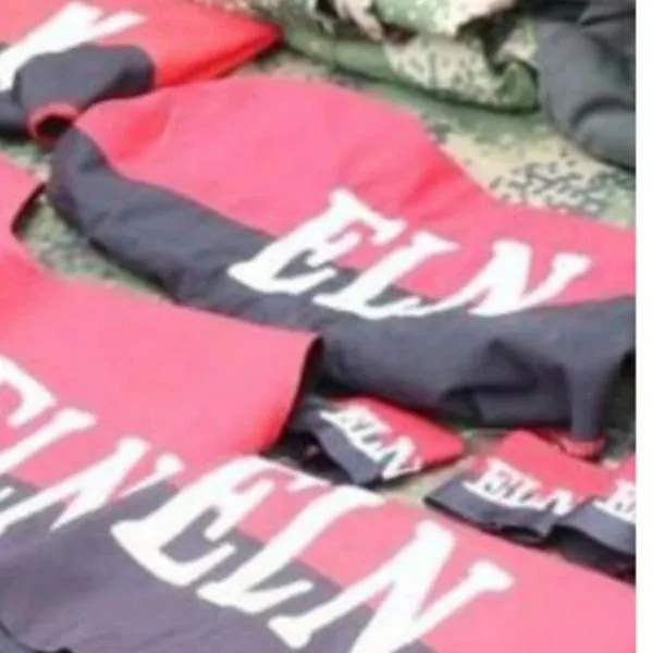 Paro armado del Eln en Chocó: habitantes están sin alimentos y medicamentos