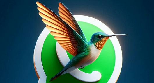 ¿Cómo activar el 'Modo colibrí' en WhatsApp? 