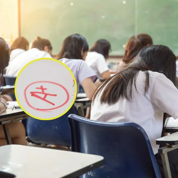 ¿Cómo recuperar un año escolar perdido? 