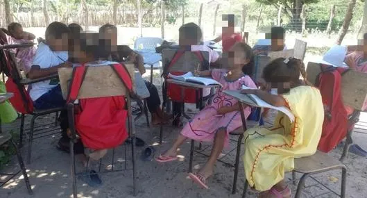 La Guajira hoy: niños reciben clases debajo de un árbol al quedarse sin escuela