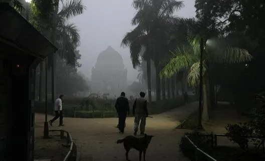 Nueva Delhi cierra escuelas y obras de construcción por la intensa contaminación