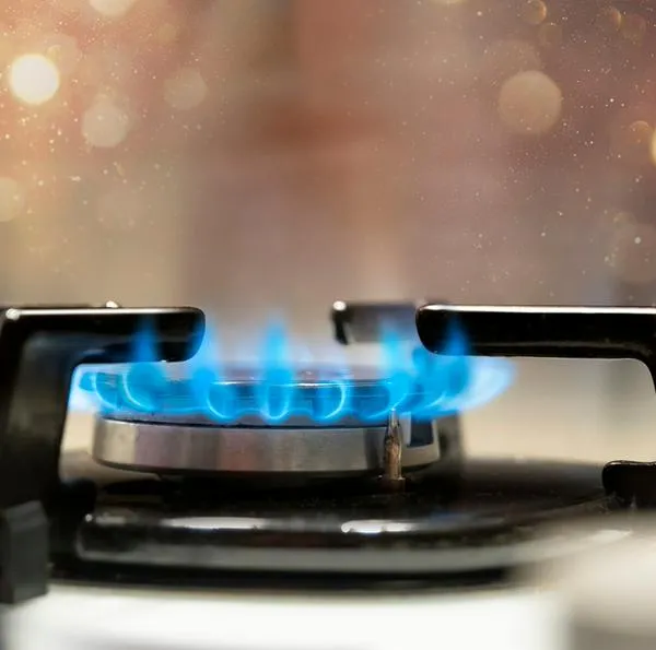 Servicio de gas natural y otros serían importados y hay plan con Ecopetrol