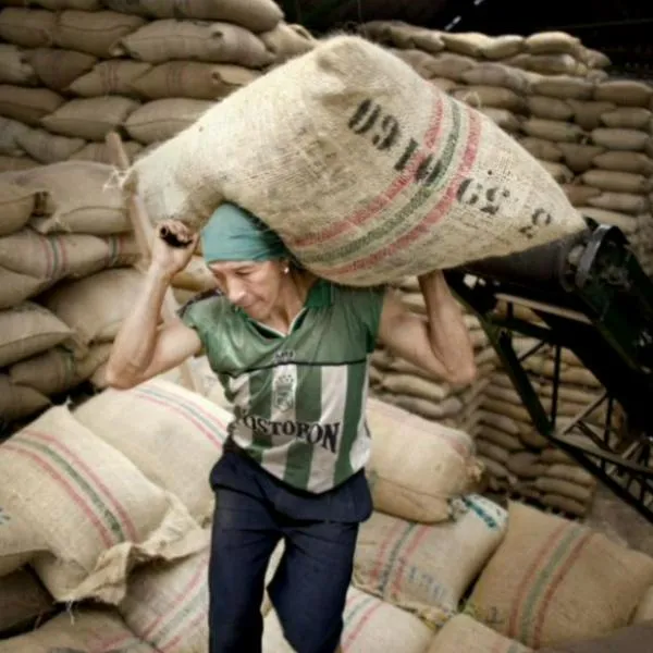 ¿Cuánto gana un cotero en Colombia? Salario en Corabastos y más