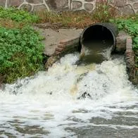 ¿Cuáles son las sanciones por contaminar ríos y ecosistemas en Colombia