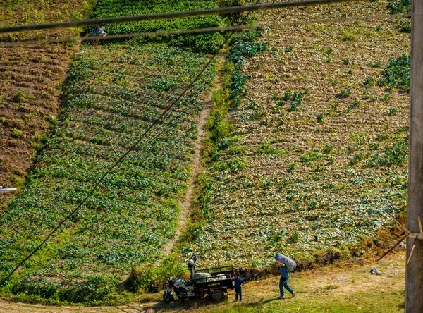 Economía colombiana creció en septiembre por debajo de lo esperado: solo 2 %